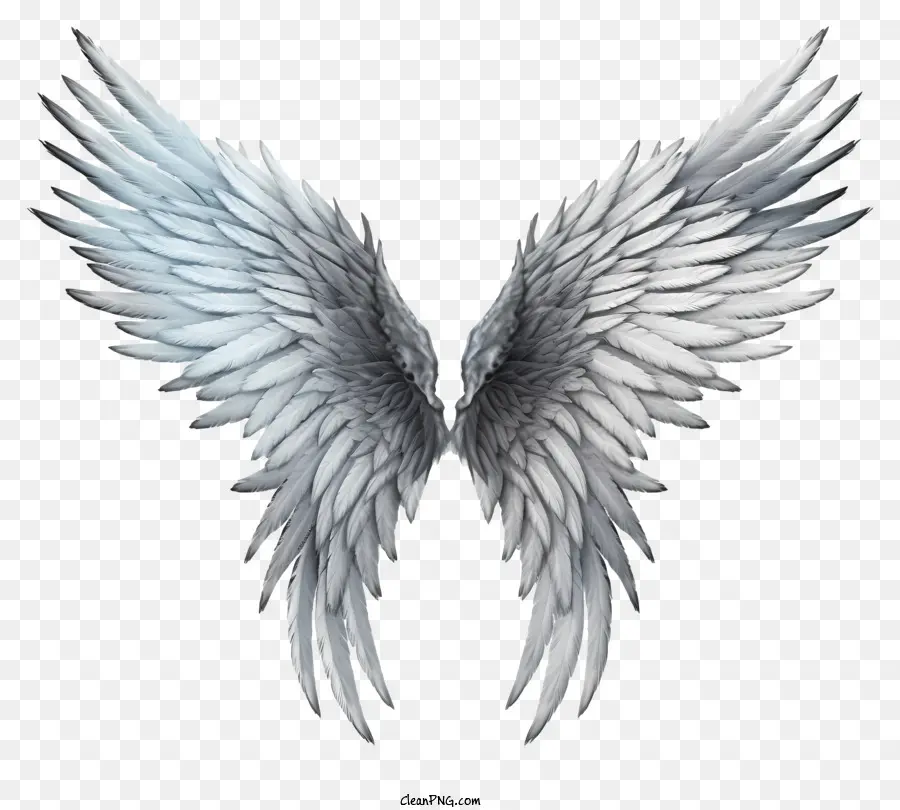 Sketch Angel Wings，เทวทูตที่มีปีก PNG