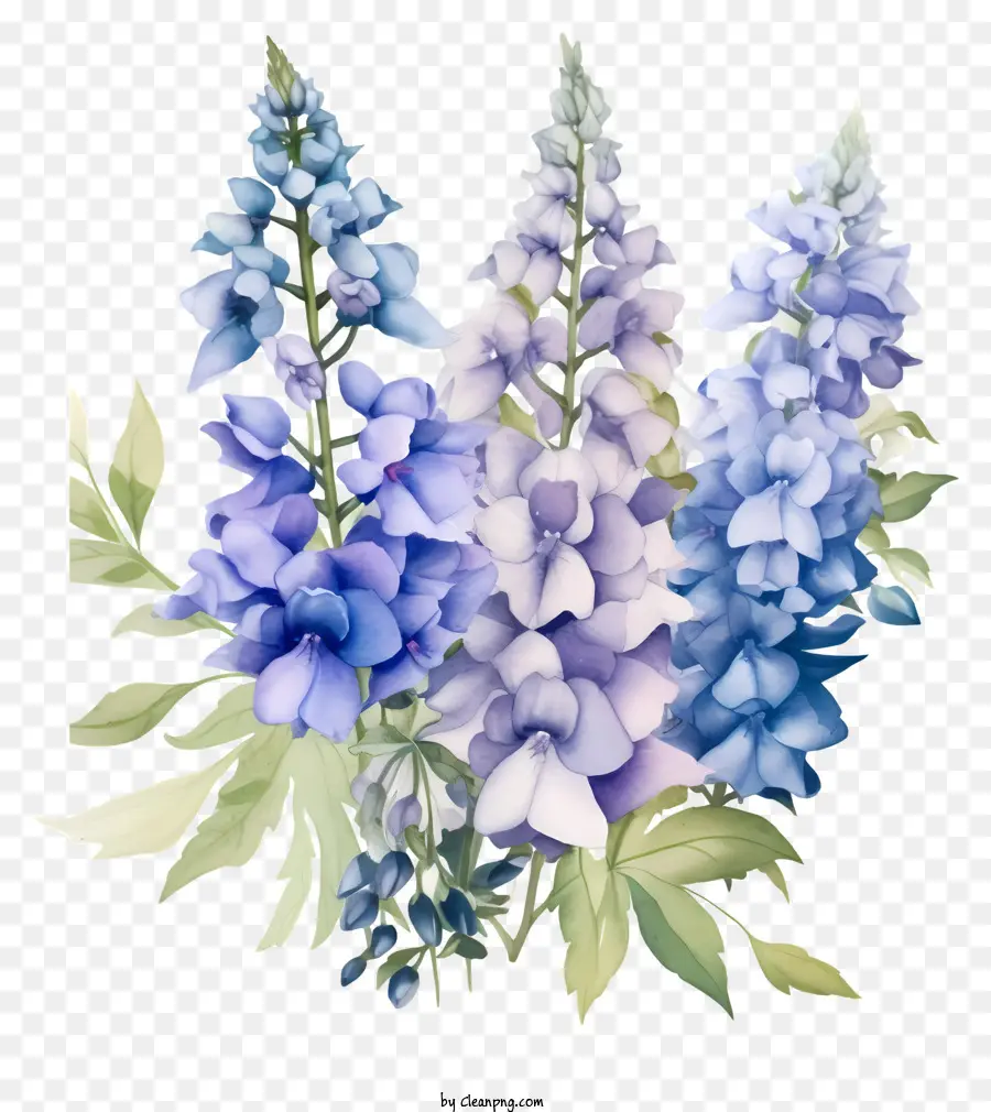 ศิลปะดอกไม้ Delphinium，ดอกไม้สีม่วง PNG