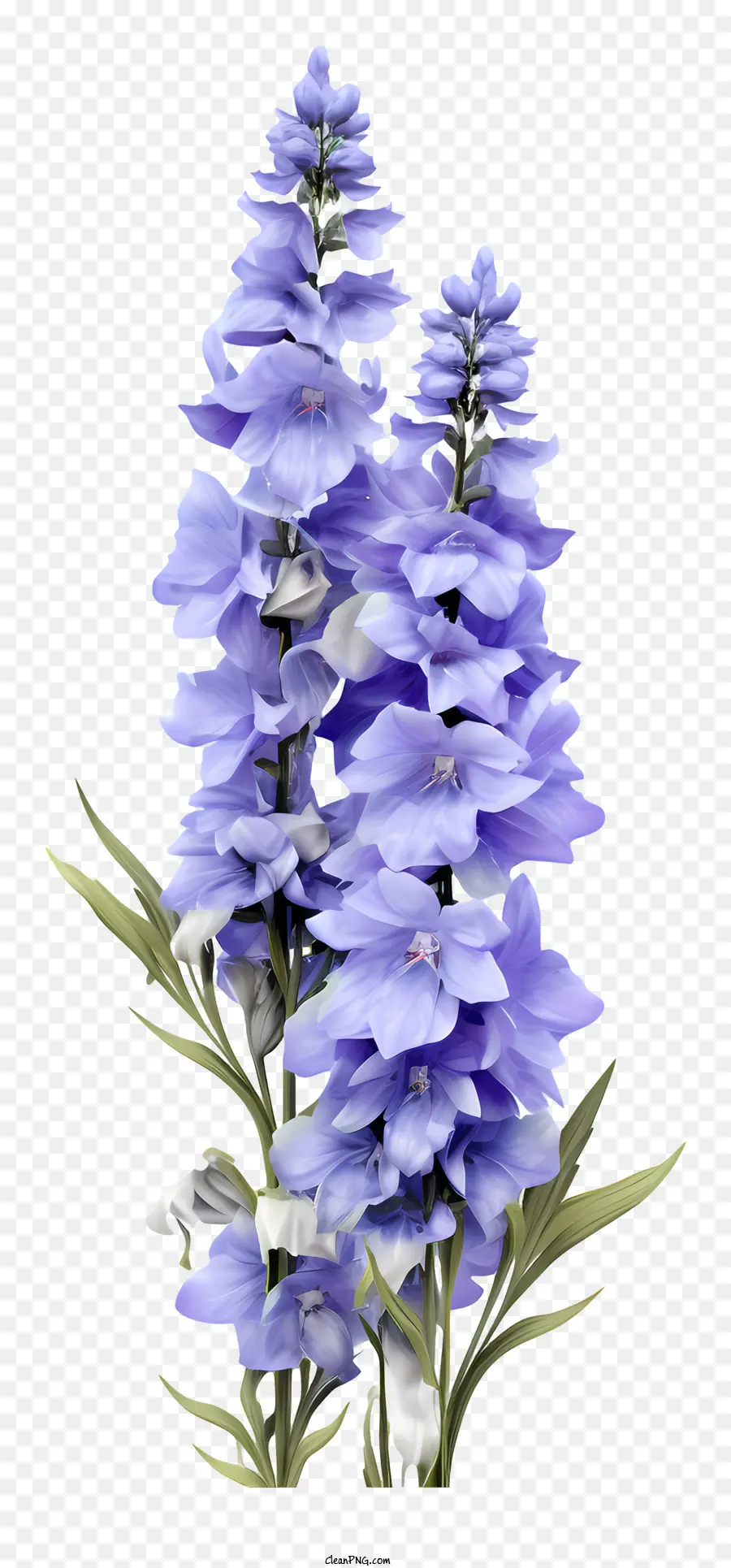 ดอกไม้ 3d Delphinium ที่เหมือนจริง，ดอกไม้สีม่วง PNG