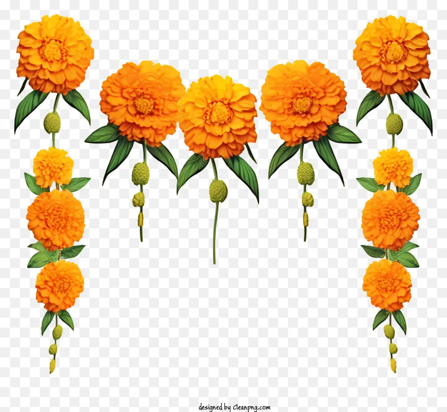พวงมาลัยดอกดาวเรืองที่วาดด้วยมือ，ดอกไม้ป้ายกระกาศ Name PNG