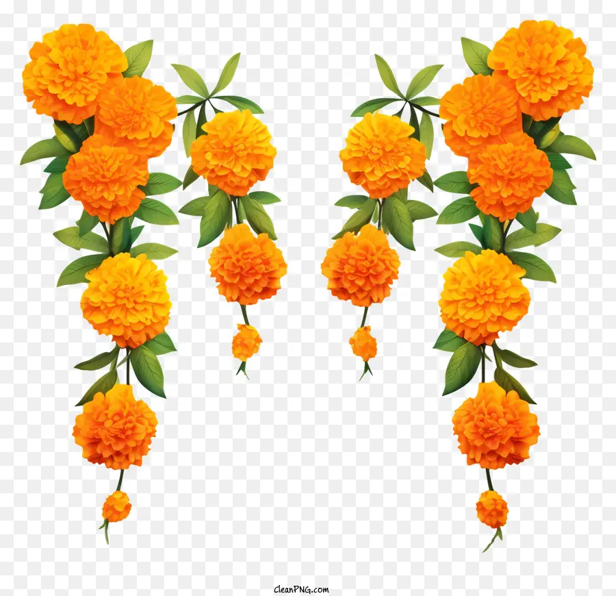 พวงมาลัยดอกดาวเรืองที่วาดด้วยมือ，ดอกดาวเรืองสีส้ม PNG