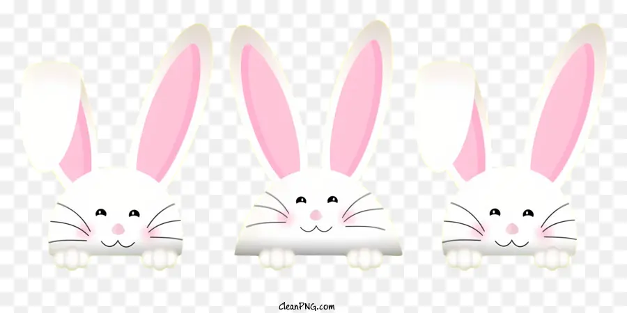 กระต่ายหน้า，กระต่ายสีขาว PNG