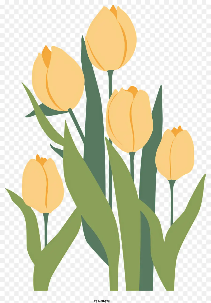 ตูน，สีเหลือง Tulips PNG