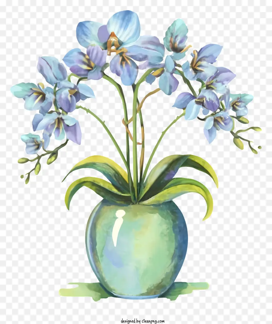 ตูน，แจกันกับดอกไม้สีน้ำเงิน PNG