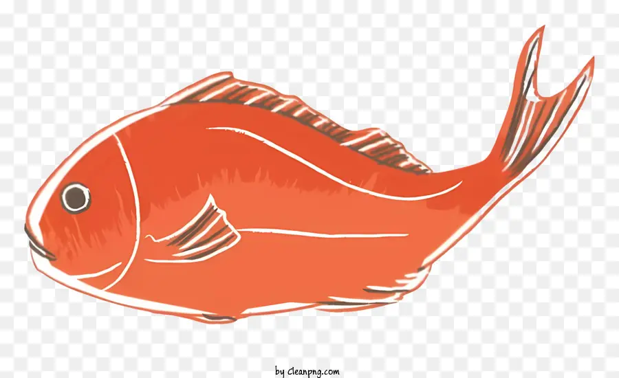สีส้มปลา，หัวใหญ่ PNG