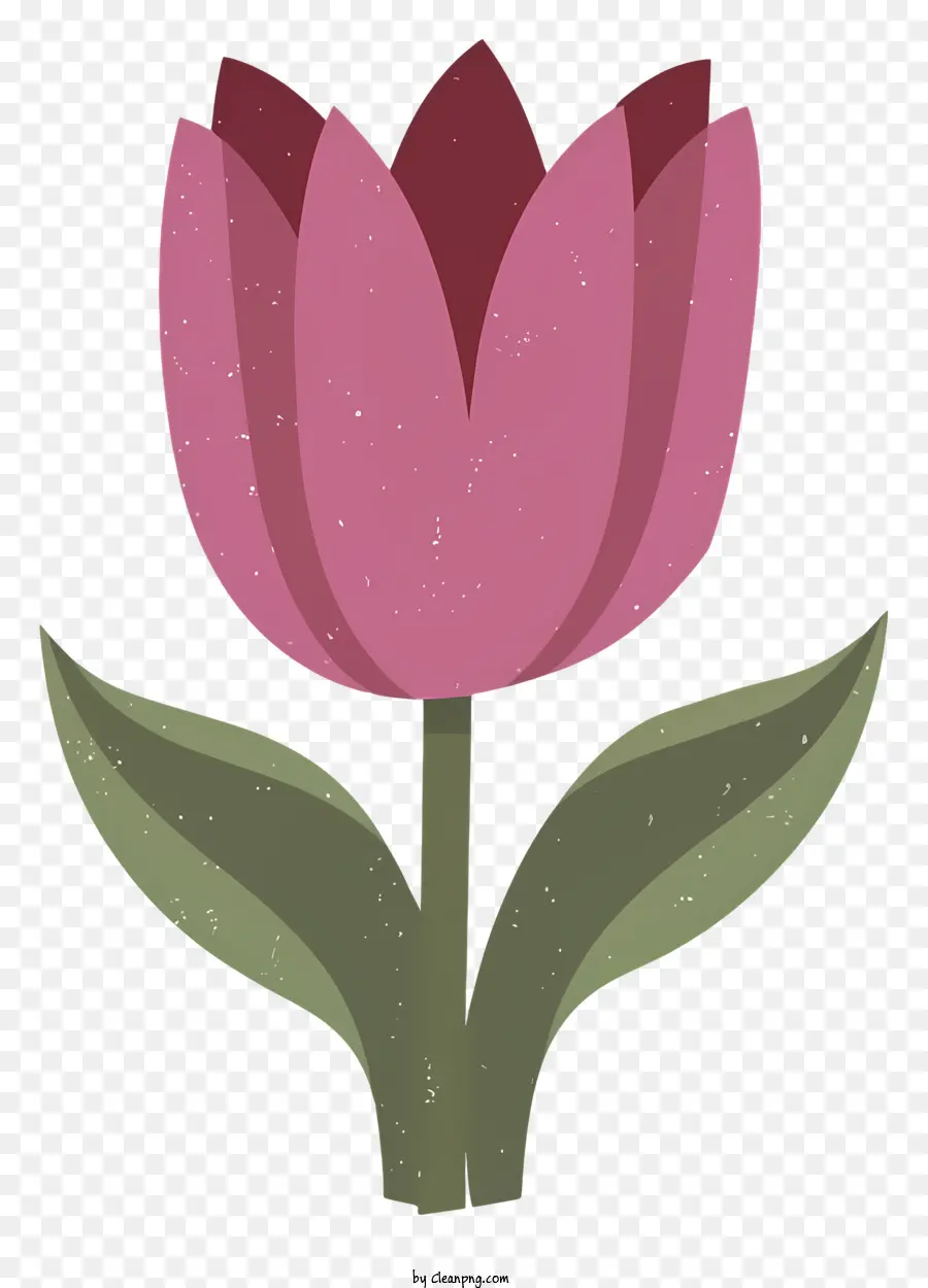 ตูน，ดอกทิวลิปสีชมพู PNG