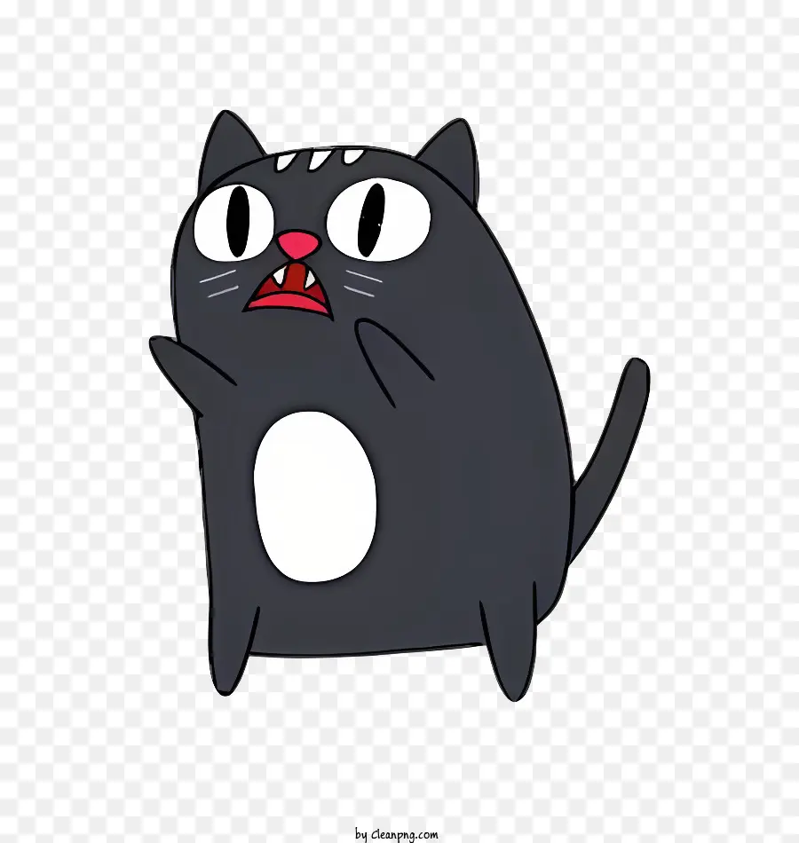 แมวดำ，สีขาวปรับปรุง PNG