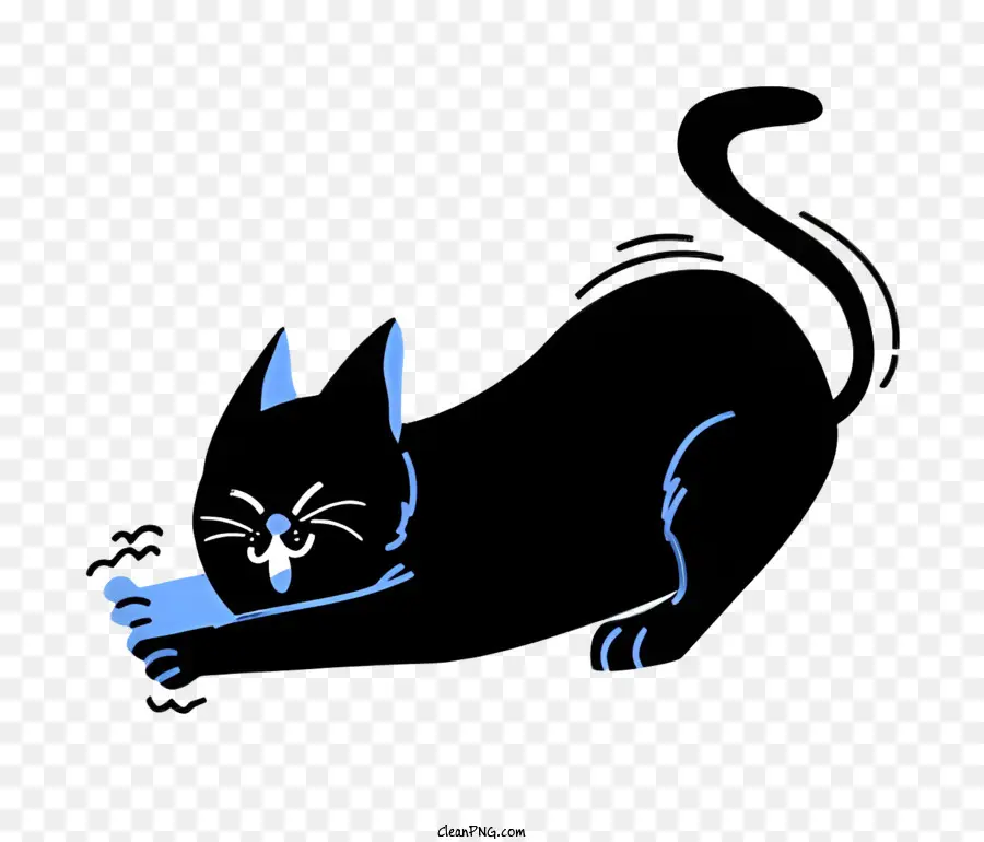 แมวดำ，ขาหลัง PNG