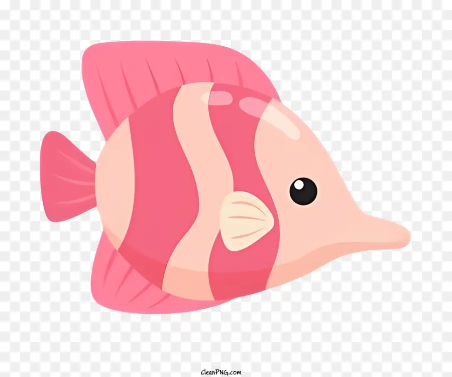 สีชมพูปลา，ปลาแถบสีขาว PNG