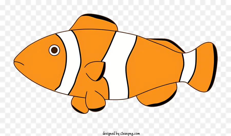สีส้มปลา，สีขาว Stripe PNG