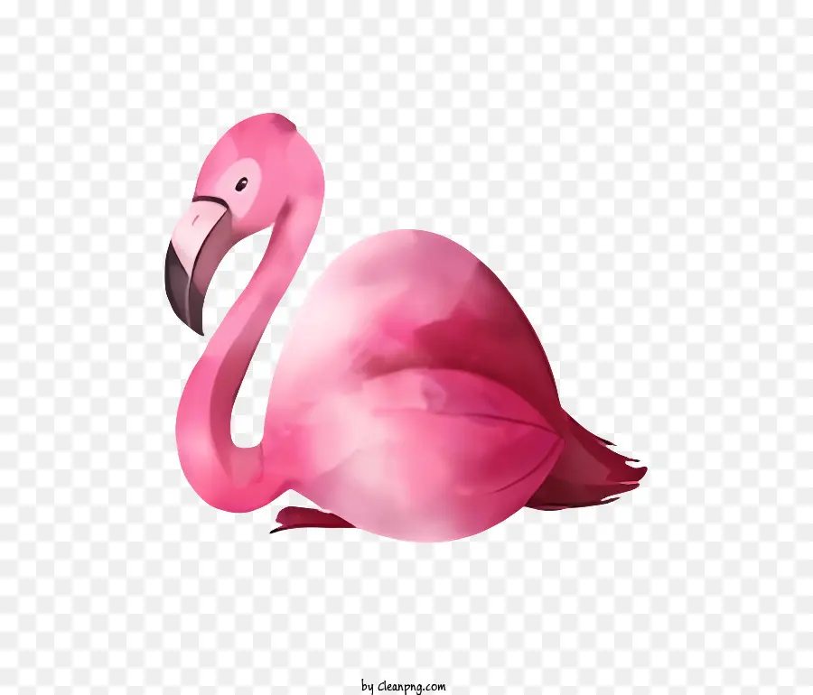 สีชมพู Flamingo，อยู่กับไอ้ขาข้างเดี PNG