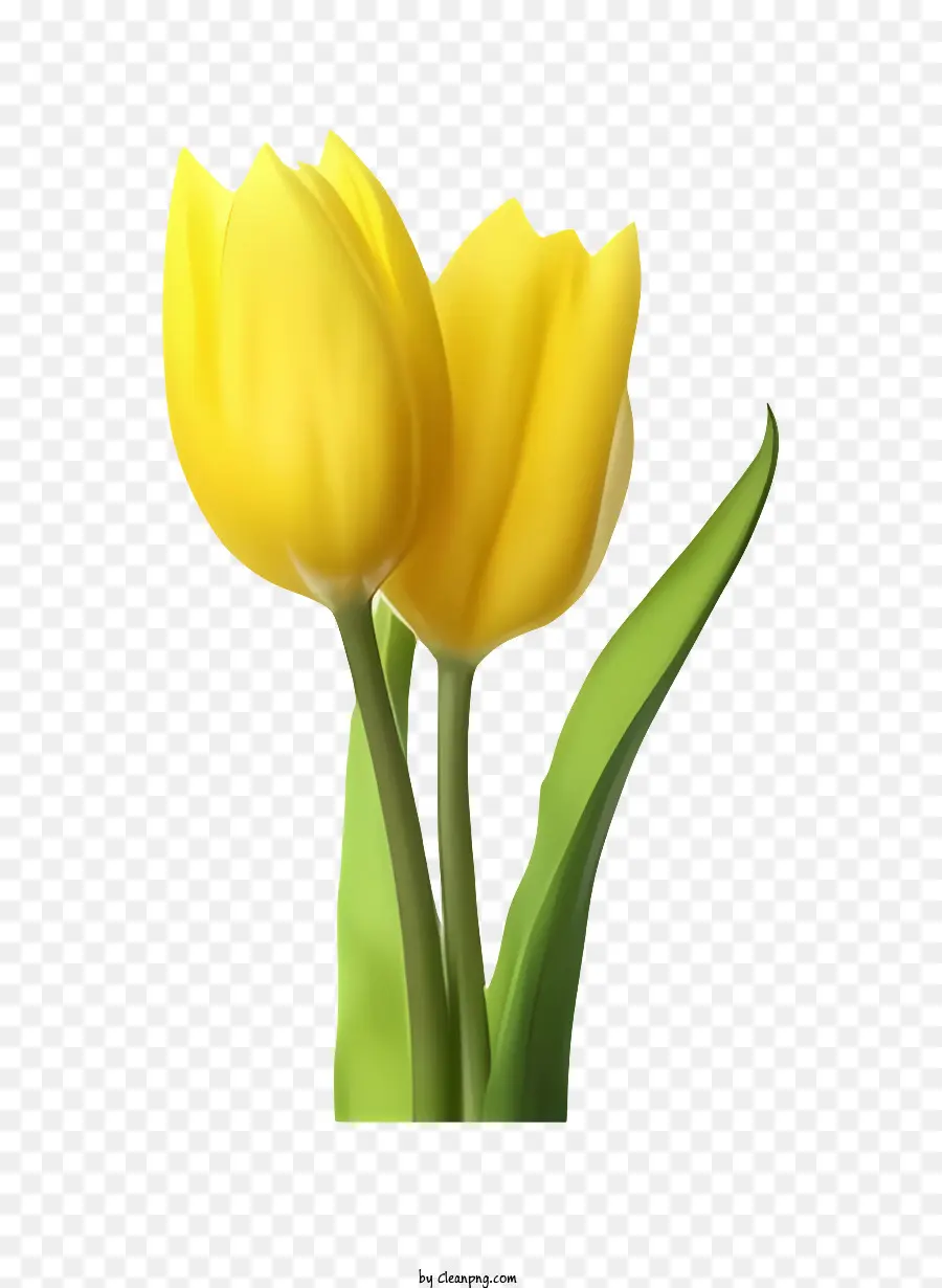 ตูน，สีเหลือง Tulips PNG