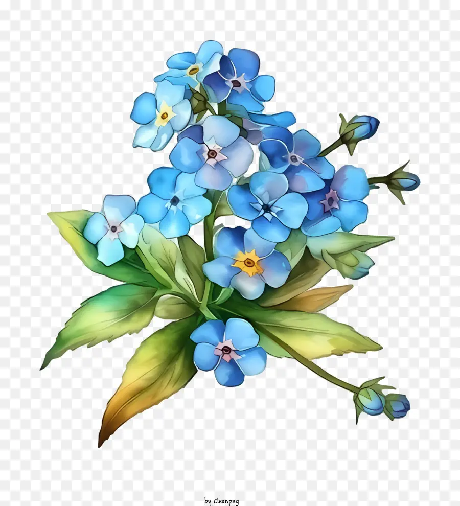 ตูน，สีน้ำเงินดอกไม้ PNG