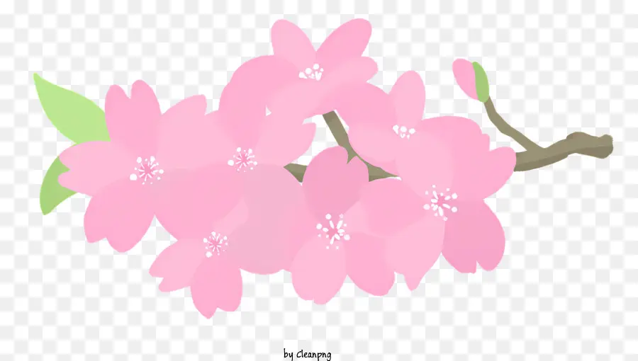 กิ่งไม้สีชมพู，เล็กสีชมพูดอกไม้ PNG