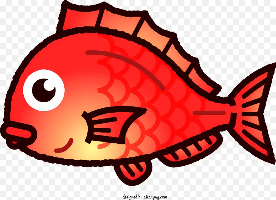 แดงปลา，ตาโต PNG