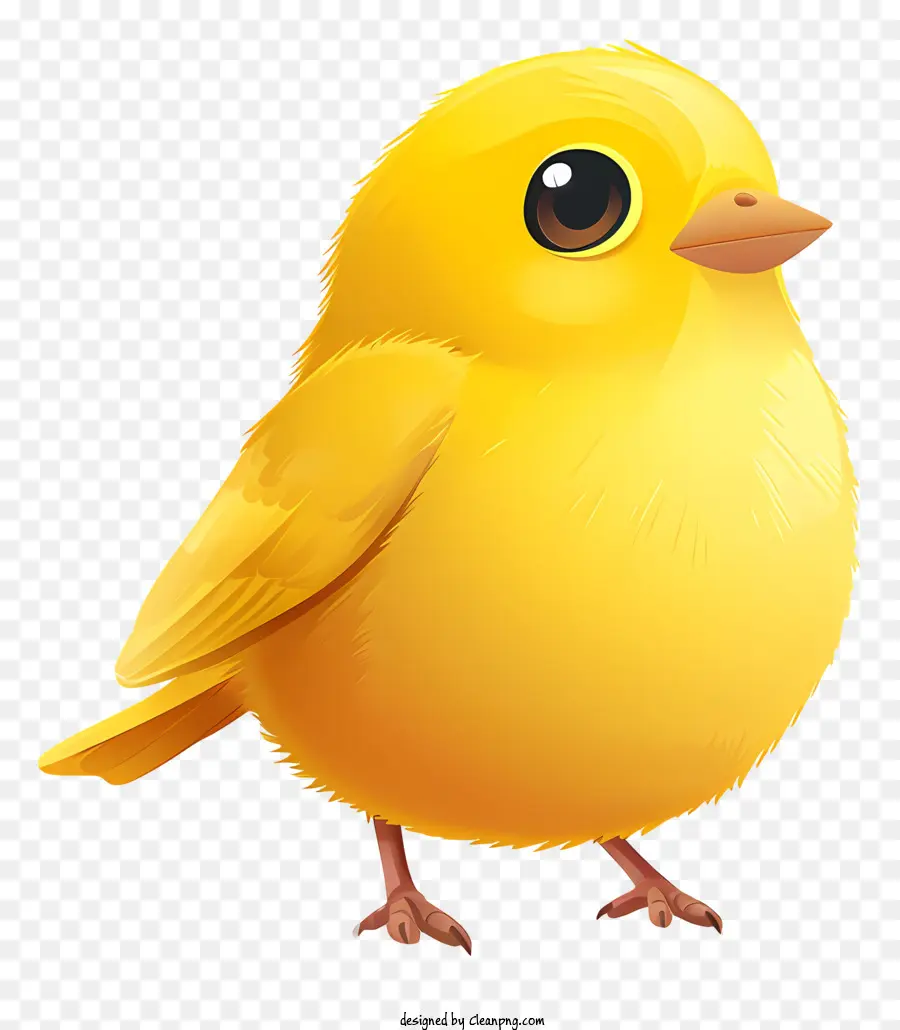 นกวัน，นกสีเหลือง PNG