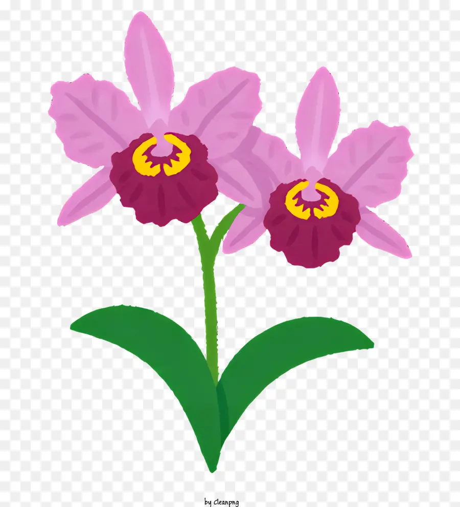 ธรรมชาติ，ดอกไม้สีชมพู 1 ดอก PNG