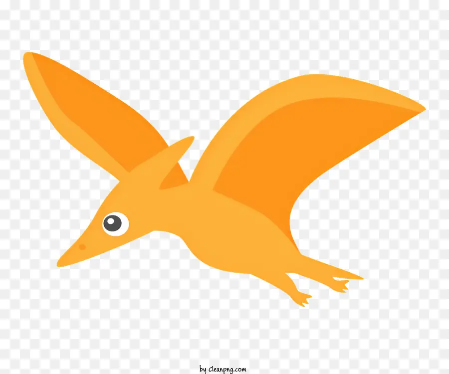 นกสีส้ม，นกยาว PNG