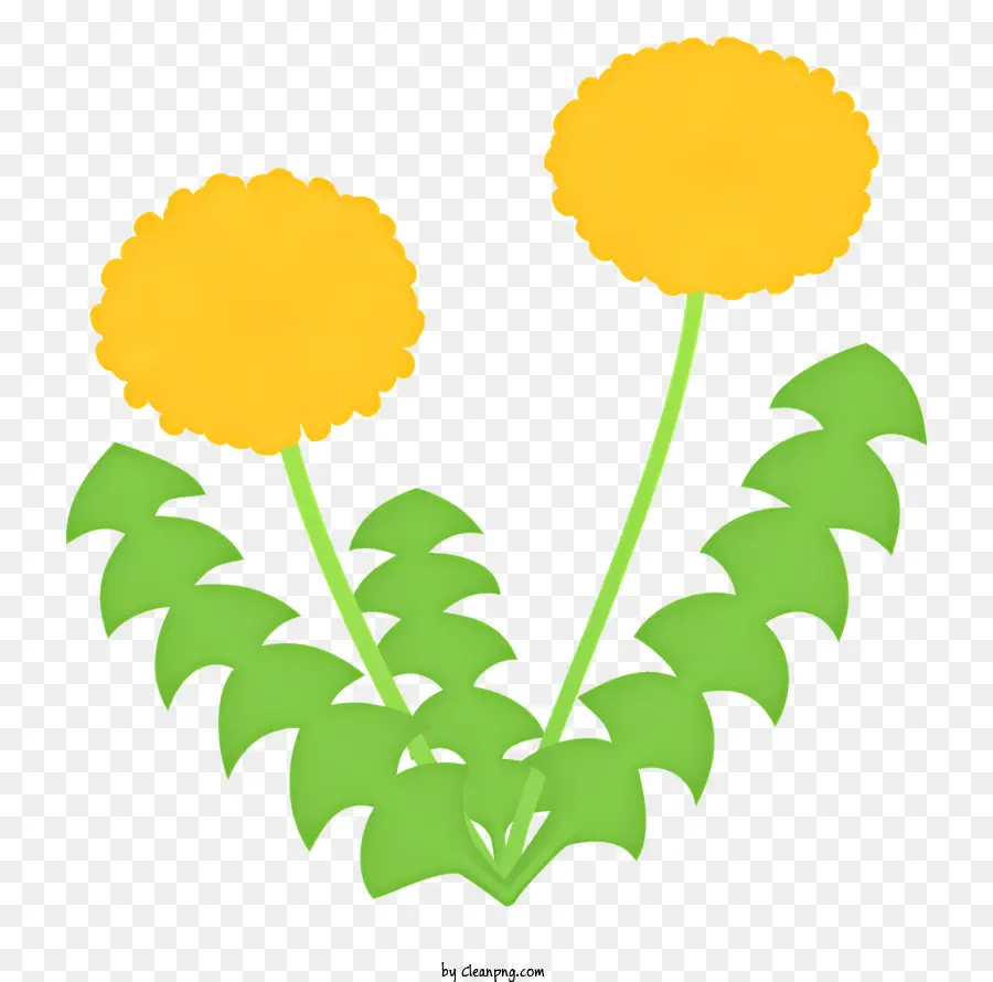 สีเหลืองดอกไม้，ใบไม้สีเขียว PNG