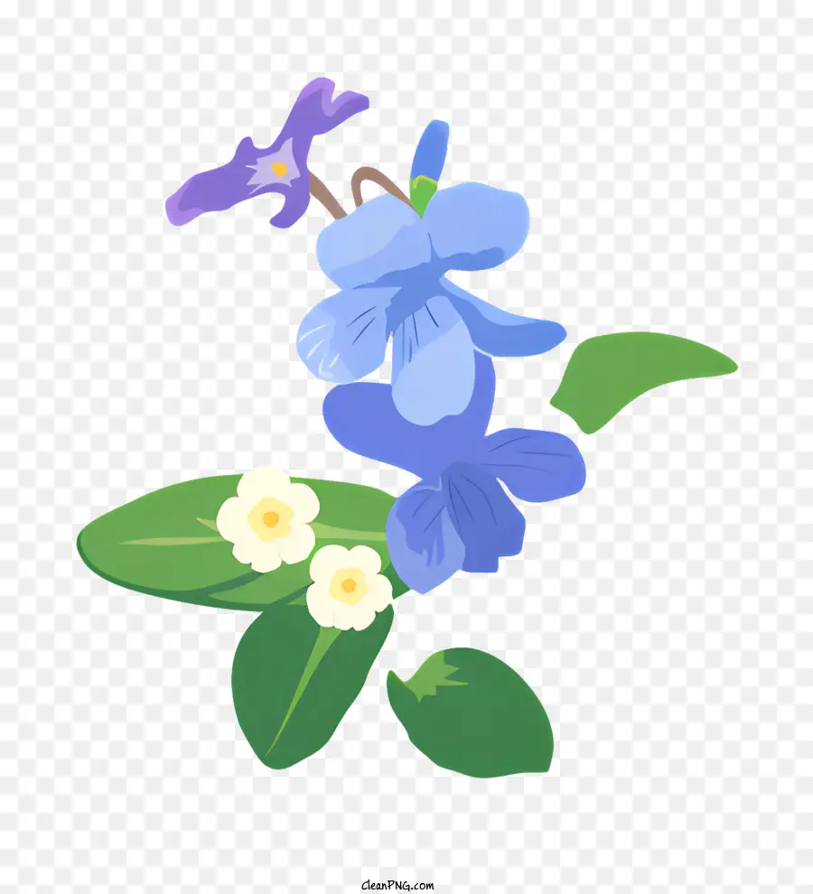 ดอกไม้สีฟ้าและสีขาว，ละเอียดอ่อดอกไม้ PNG