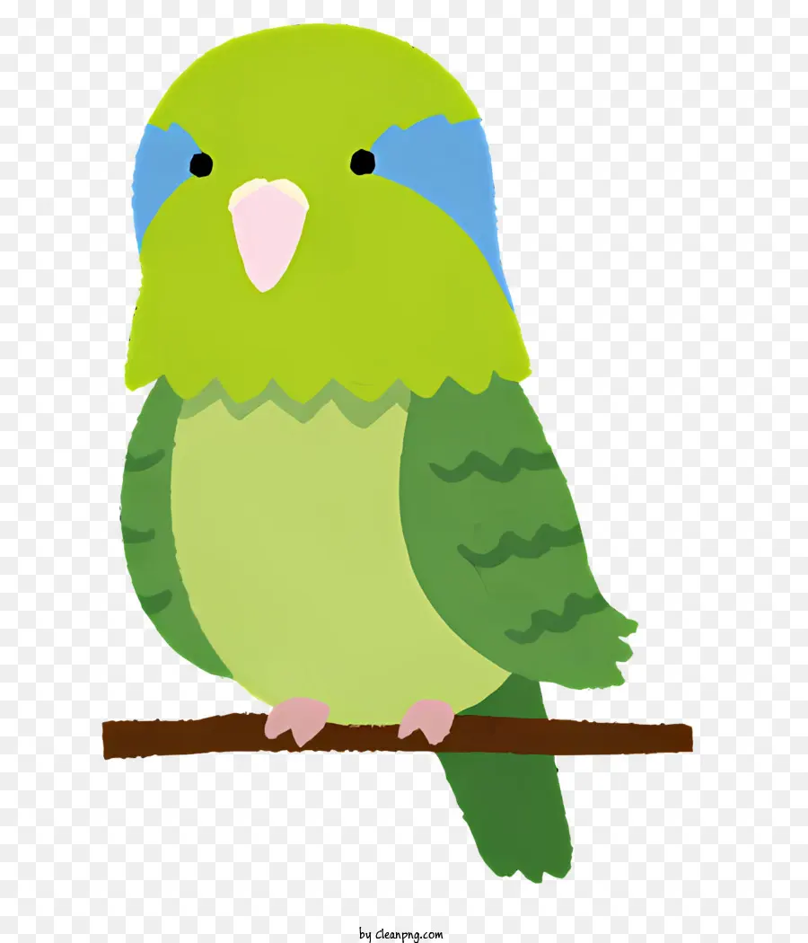 สีเขียวนก，นกสีน้ำเงิน PNG