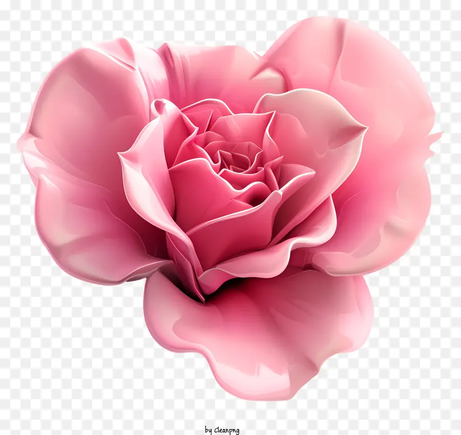 ดอกไม้สีชมพู，ดอกกุหลาบสีชมพู 1 ดอก PNG