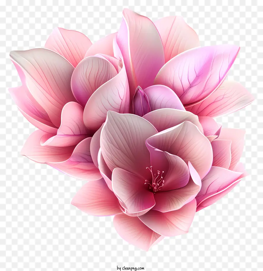 ดอกไม้สีชมพู，กลีบเปิด PNG