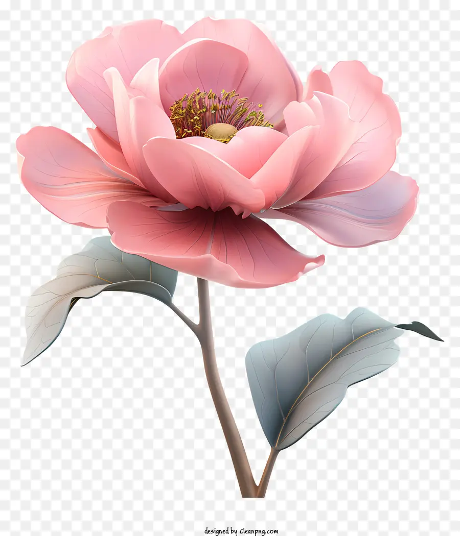 ดอกไม้สีชมพู，สีชมพู Peony PNG