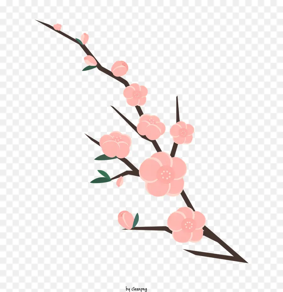 สีชมพูเชอร์รี่ Blossoms，แบรนซ์ PNG