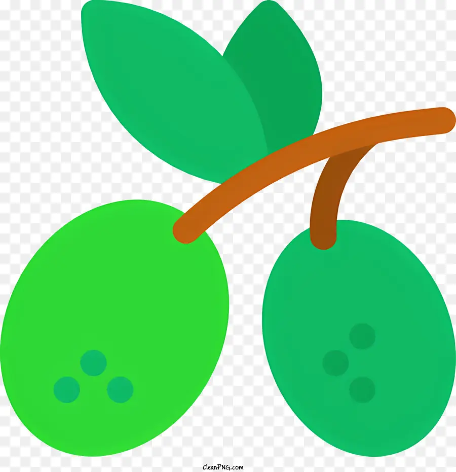 กิ่งของต้นมะกอก，สีเขียวทฤษฎีมะกอกของ PNG