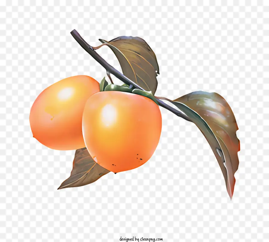 ผลไม้，ลูกพลับสีส้ม PNG