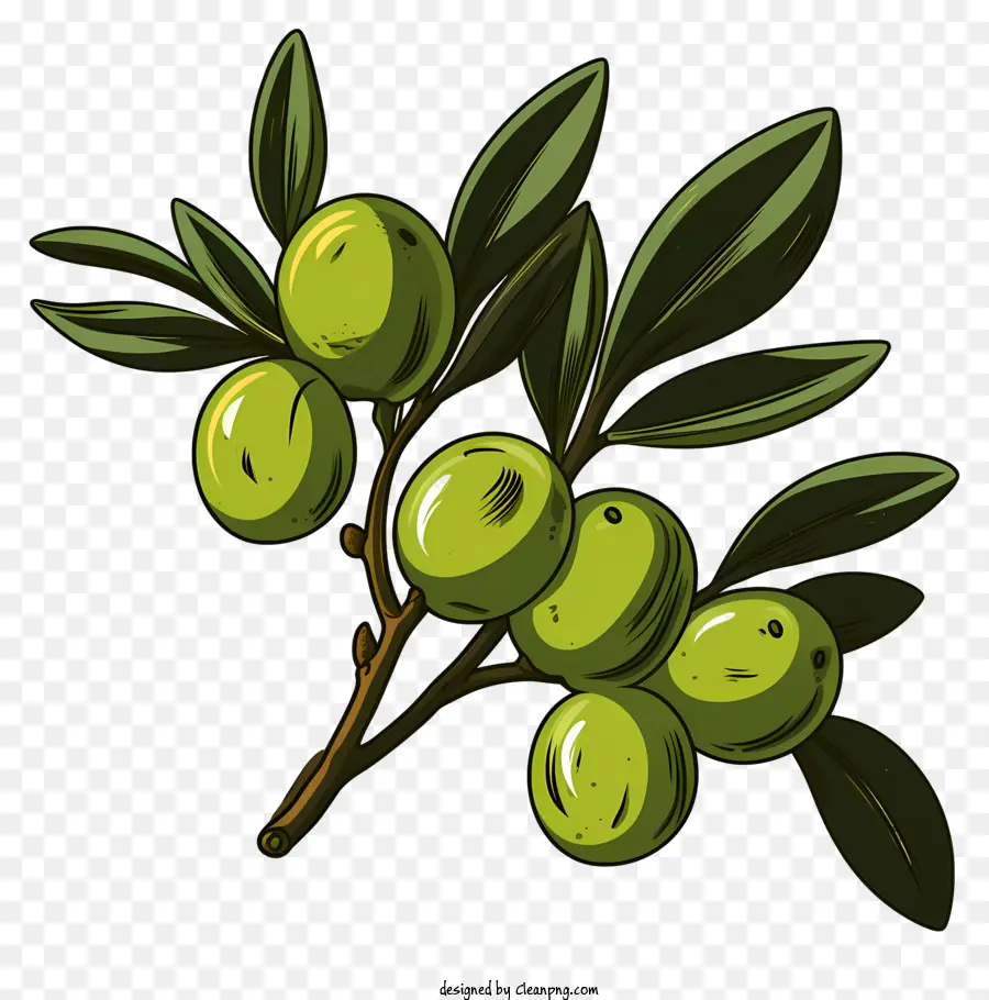 กิ่งมะกอก，ทฤษฎีมะกอกของ PNG