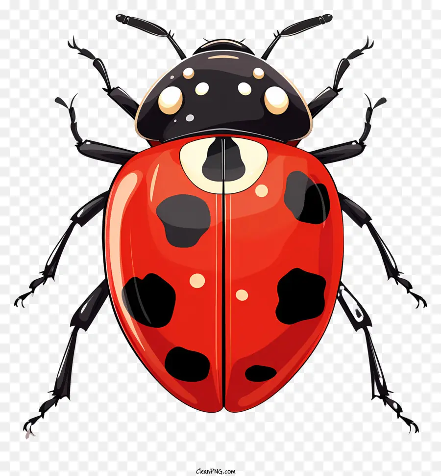 Doodle Style Ladybug，เต่าทองสีแดง PNG