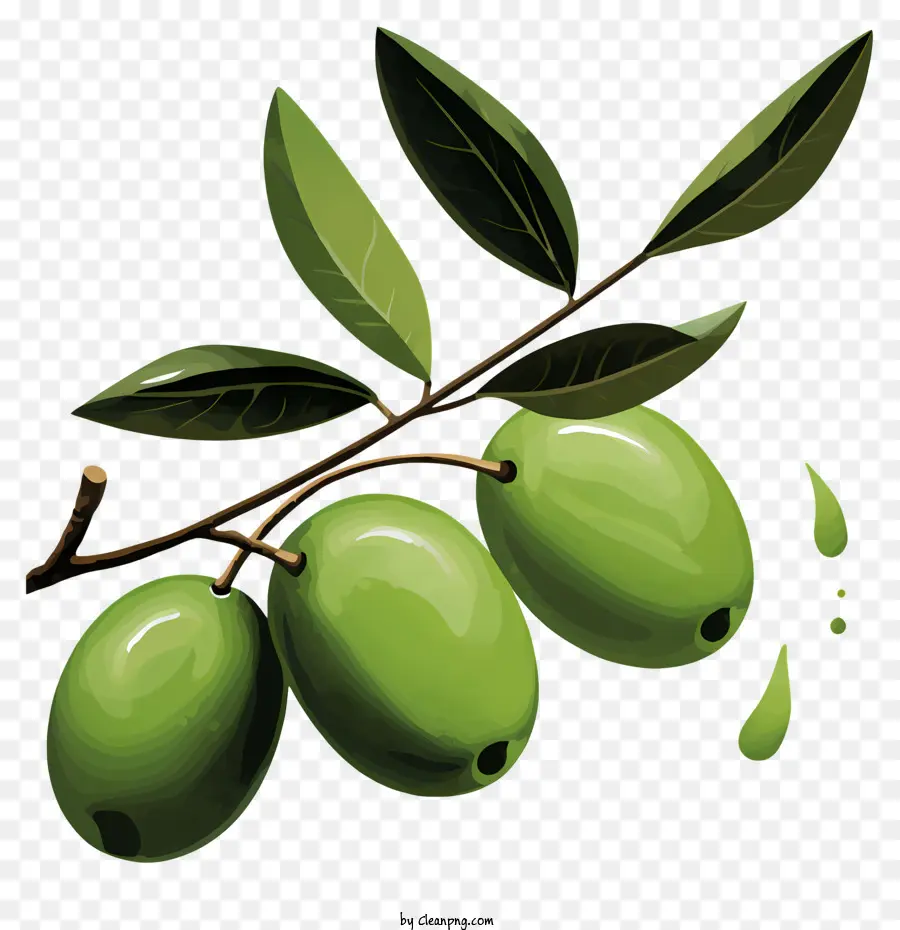 สีกิ่งของต้นมะกอก，สีเขียวทฤษฎีมะกอกของ PNG