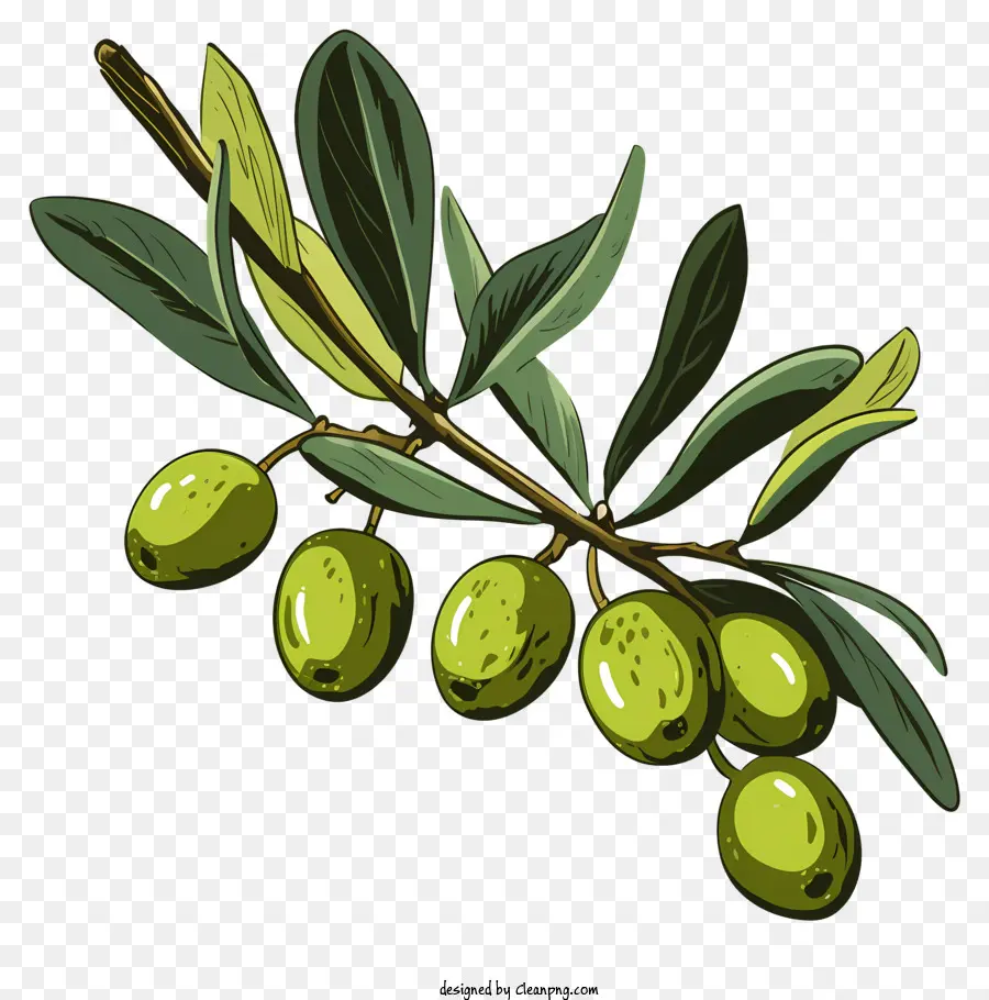 กิ่งมะกอก，สีเขียวทฤษฎีมะกอกของ PNG