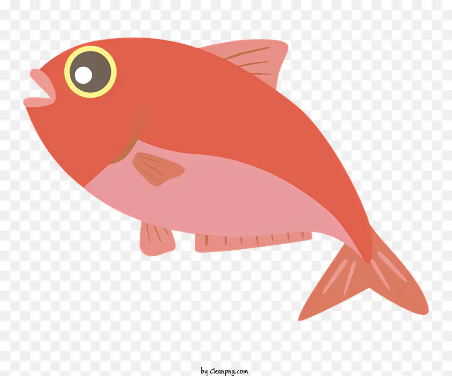 ปลา，แดงปลา PNG