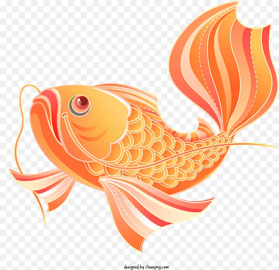 สีส้มปลา，ปลาโอเพ่น PNG
