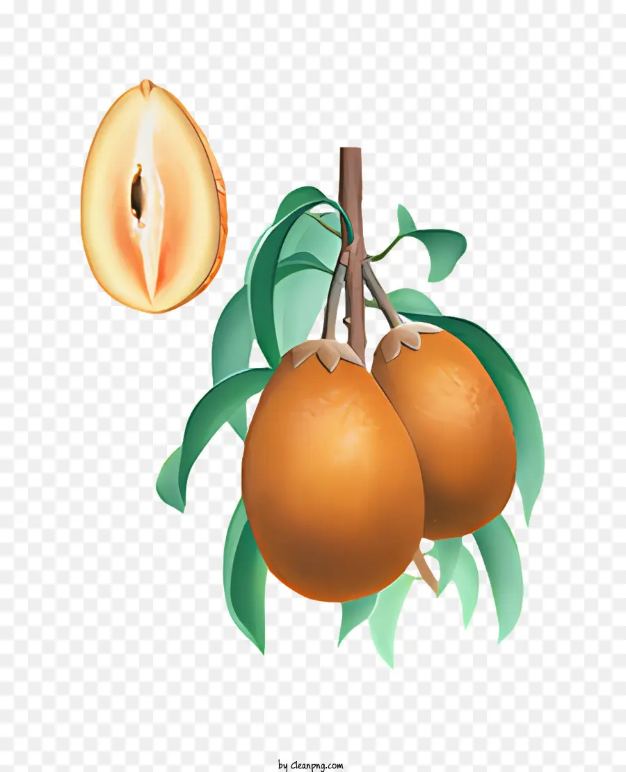 ผลไม้，Papaya ผลไม้ PNG
