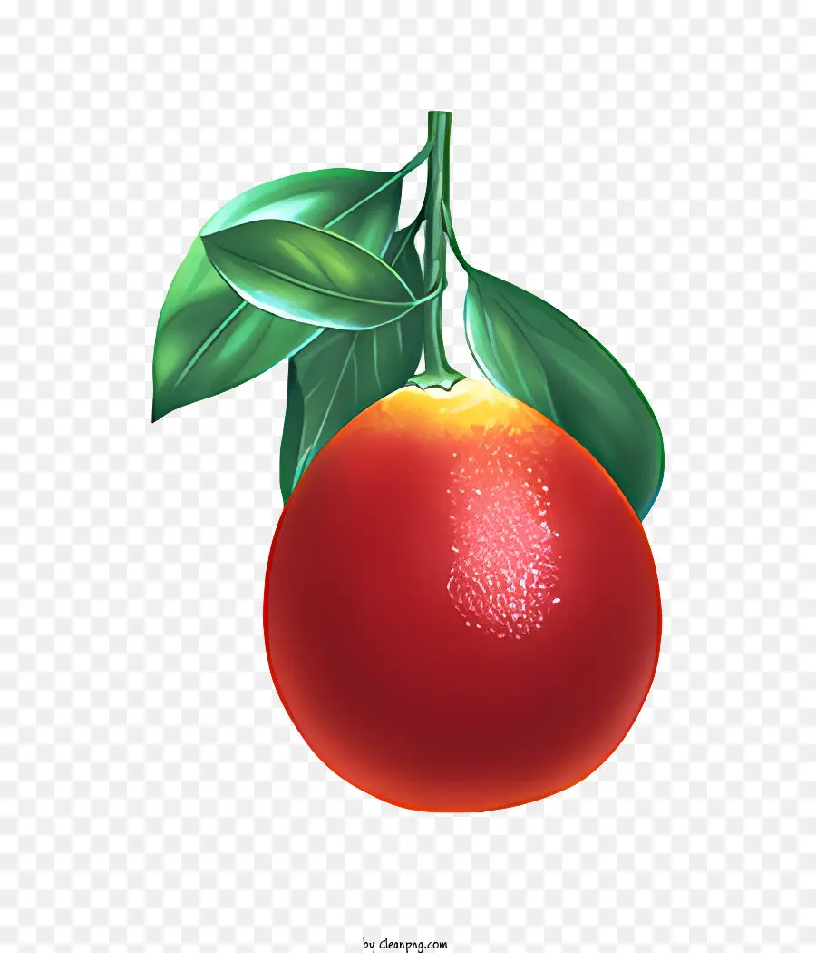 ผลไม้，Closeup สีส้ม PNG