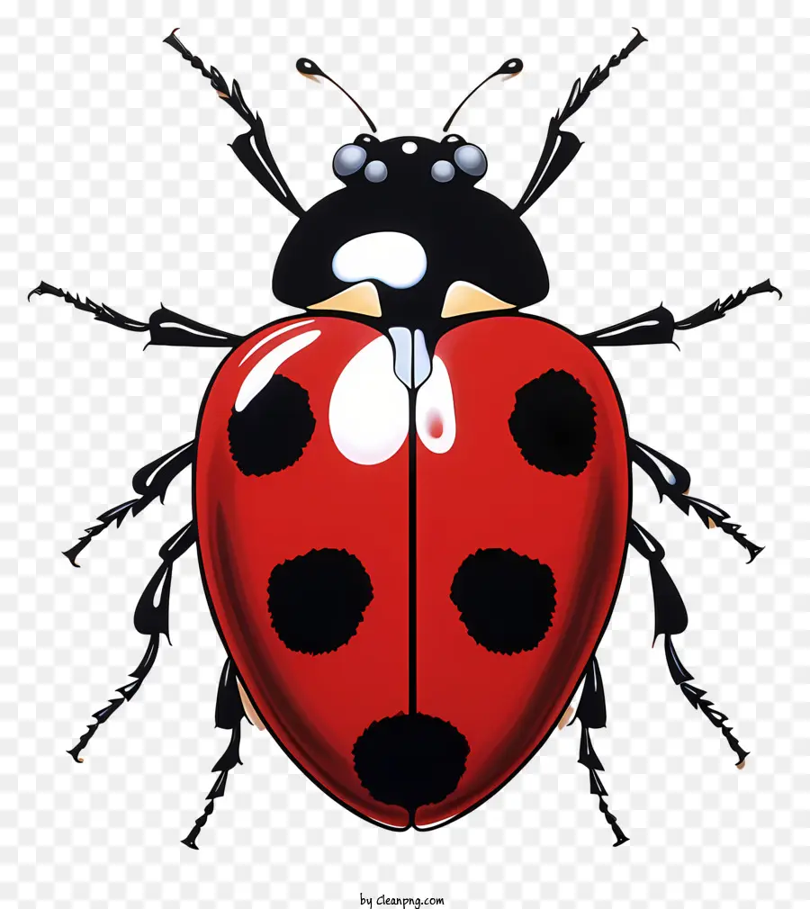 Ladybug ที่วาดด้วยมือ，เต่าทองสีแดง PNG