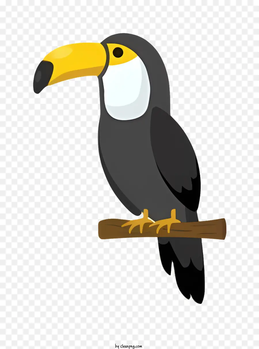 นกแก้วนก，Toucan PNG