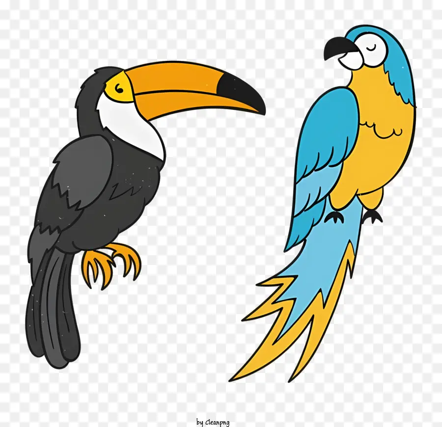 นกแก้วนก，Toucans และนกแก้ว PNG