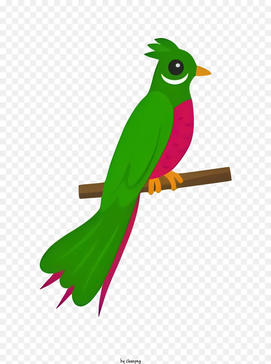 นกนกแก้ว，นกสีเขียวและสีแดง PNG