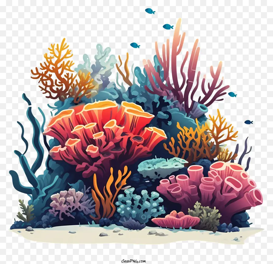 ภาพประกอบเวกเตอร์แบนน้อยที่สุด，ปะการัง PNG