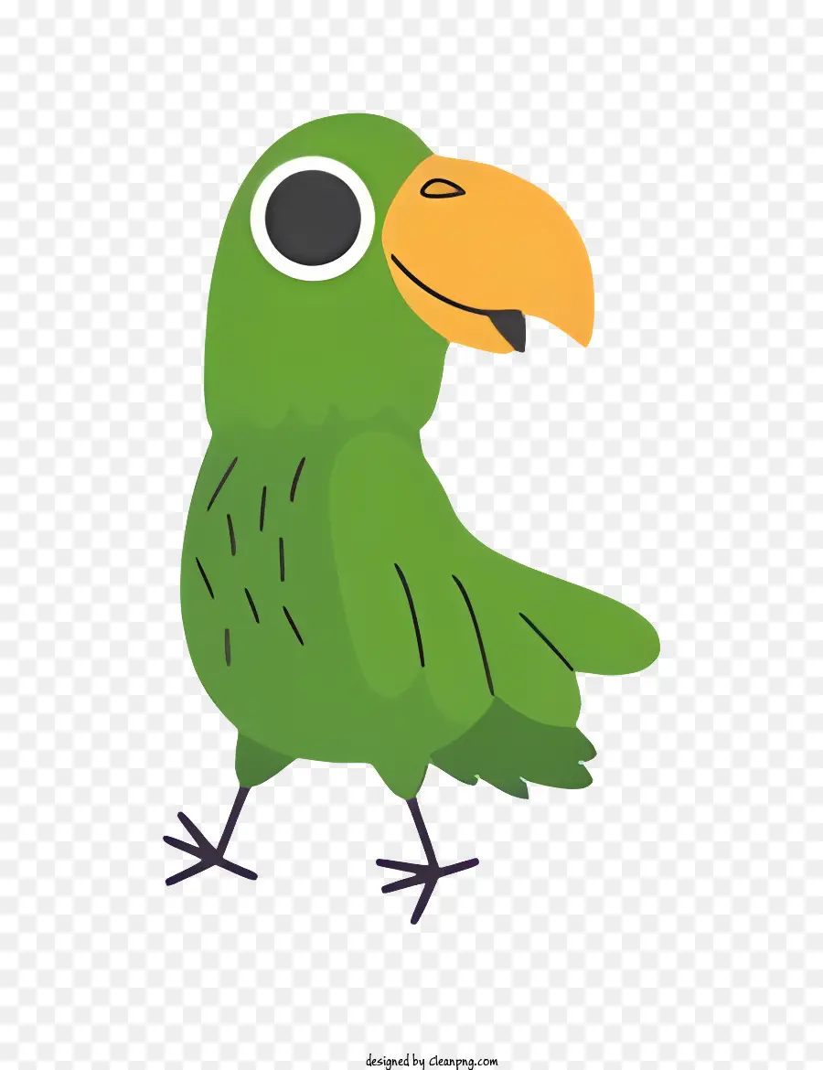 นกนกแก้ว，สีเขียวนก PNG