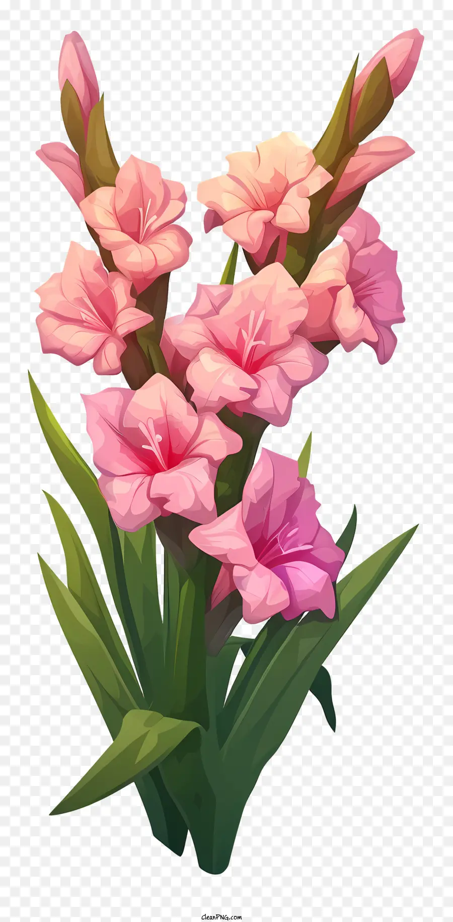 ลัส，ดอกไม้สีชมพู PNG