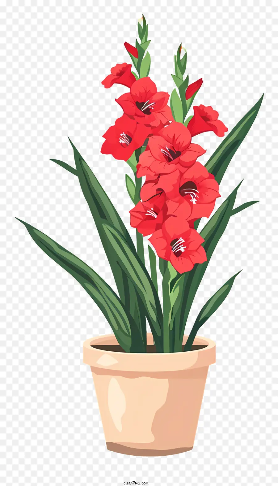 ลัส，ดอกไม้สีแดง PNG