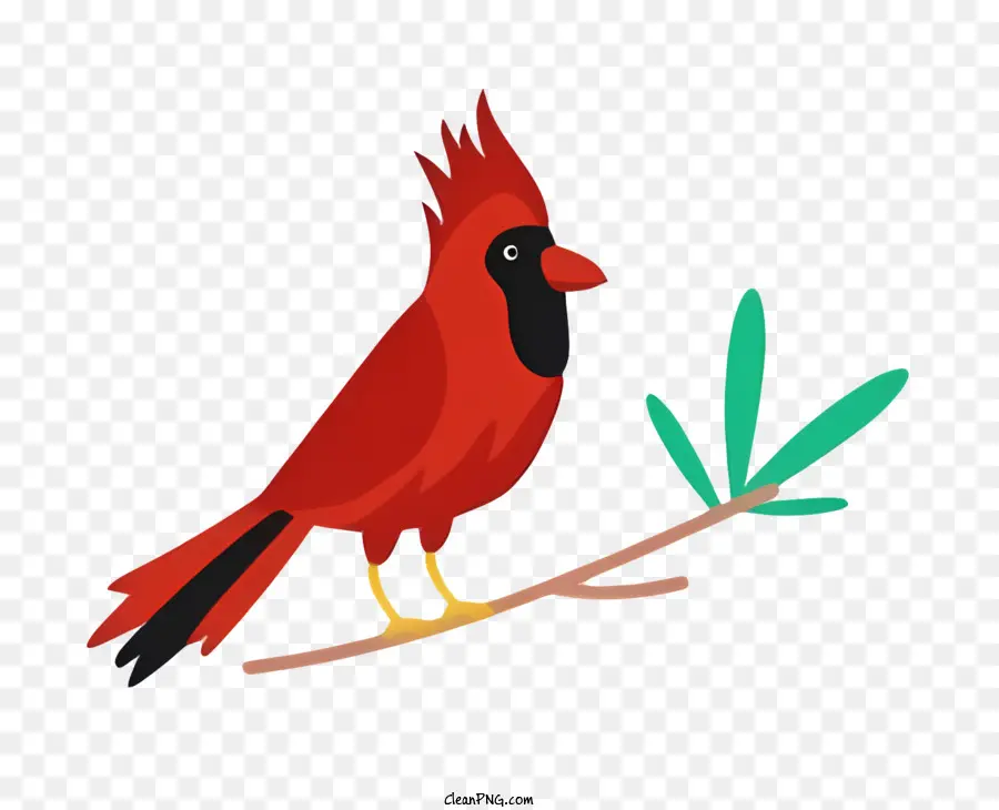 นกนกแก้ว，สีแดงพระคาร์ดินัลงนก PNG
