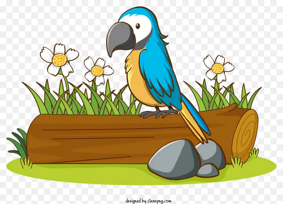 นกนกแก้ว，นกแก้วสีน้ำเงินและสีเหลือง PNG
