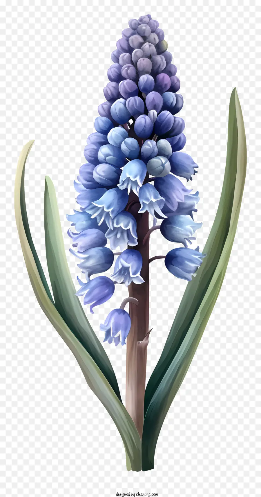 ศิลปะการใช้ประโยชน์จากผักตบชวาองุ่น，สีน้ำเงินดอกไม้ PNG